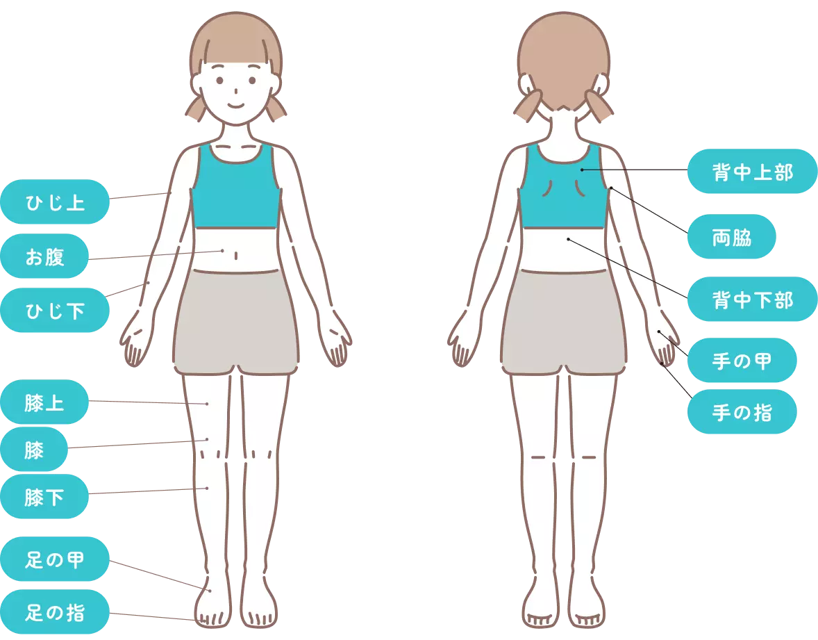 上半身と下半身の部位の名称を示したイラスト