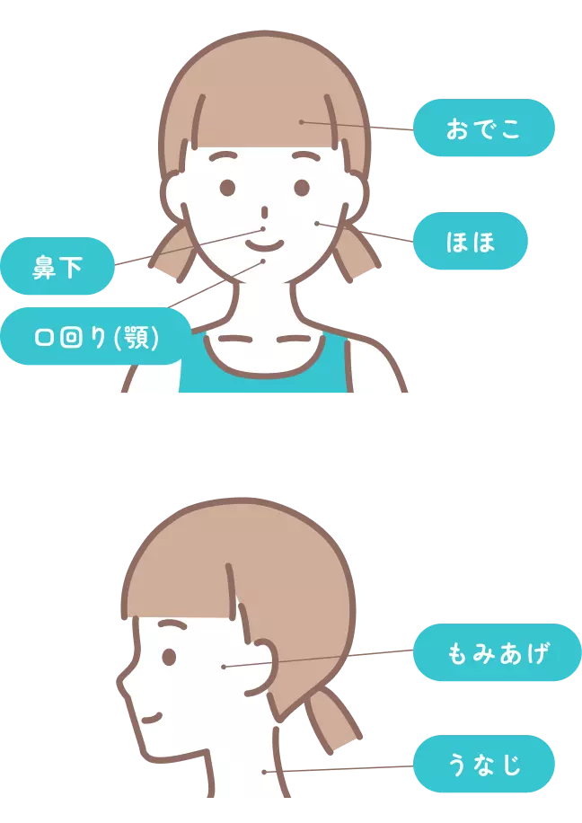 顔から首までの部位の名称を示したイラスト